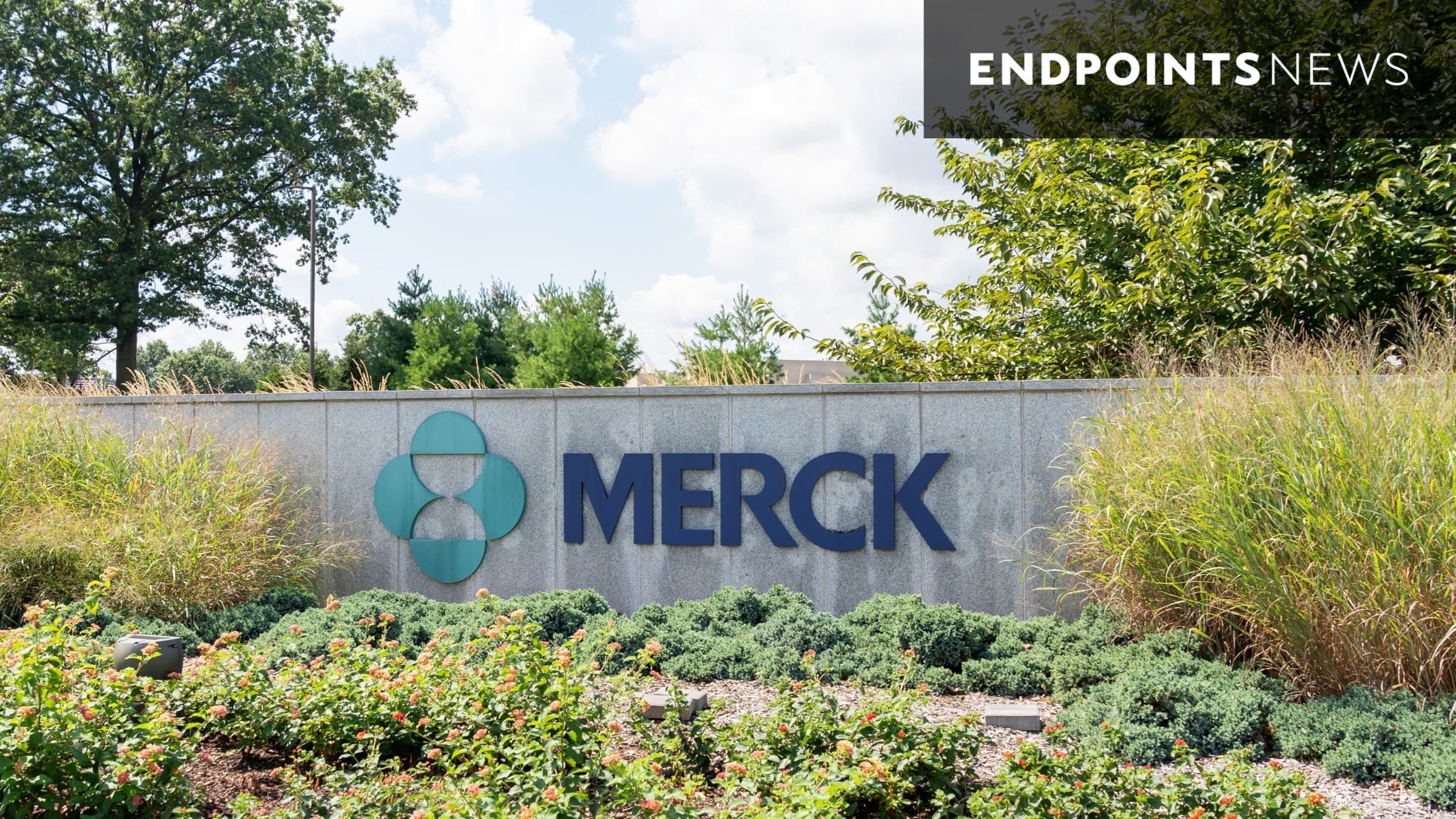 Merck leans toward lower Winrevair dose for pivotal trial in rare form of heart failure