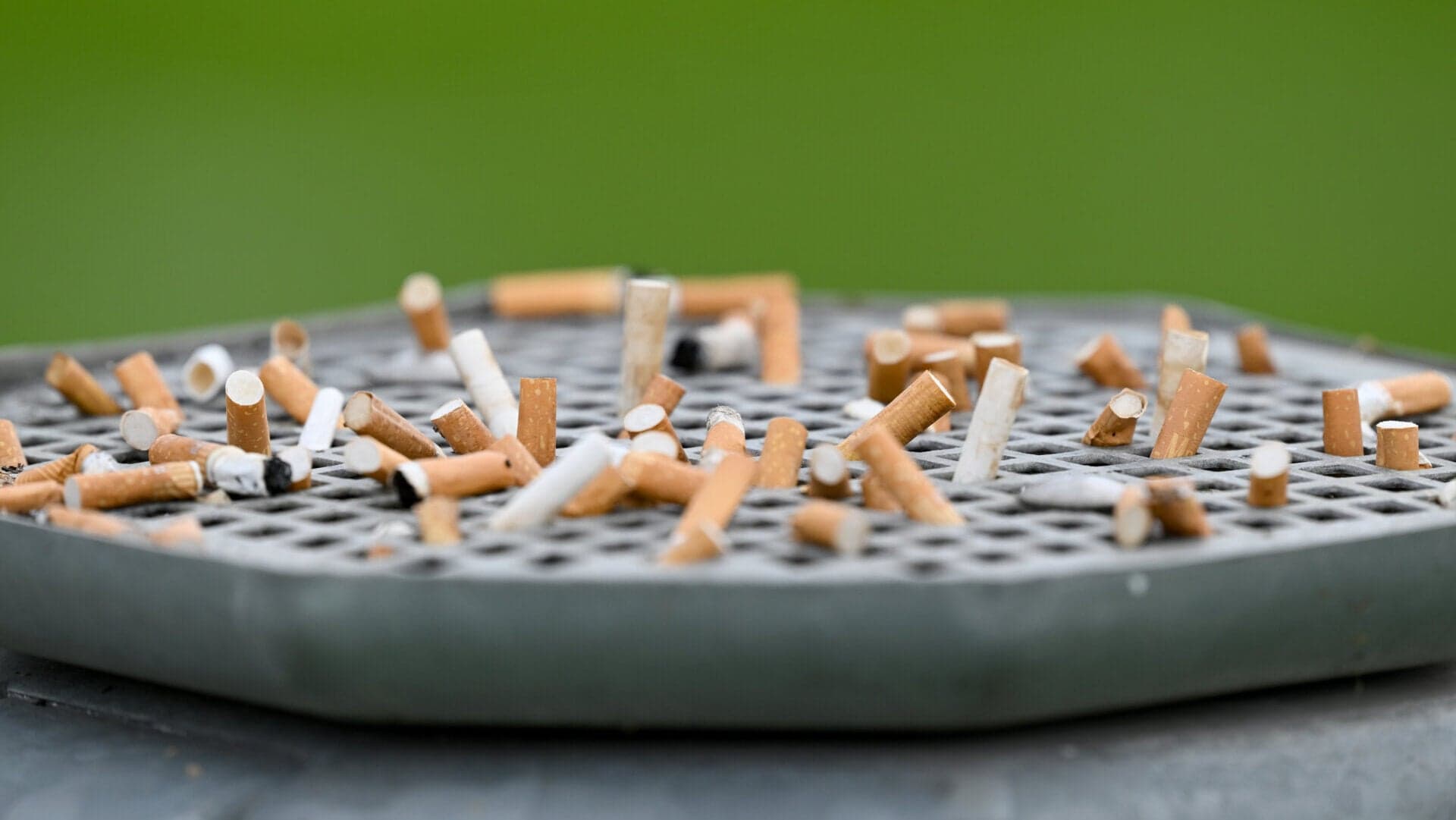 Tobacco use kills more than 7 million people each year worldwide.