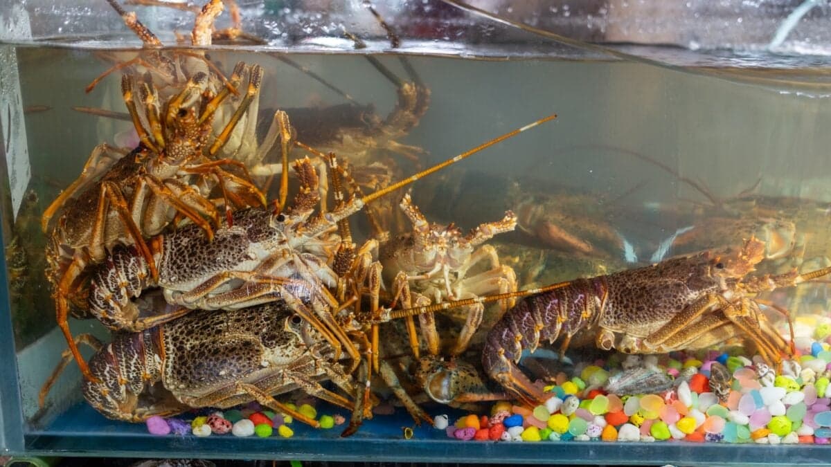 Tech Employees Are Reportedly Being Evaluated by How Fast They Burn Through LLM Tokens