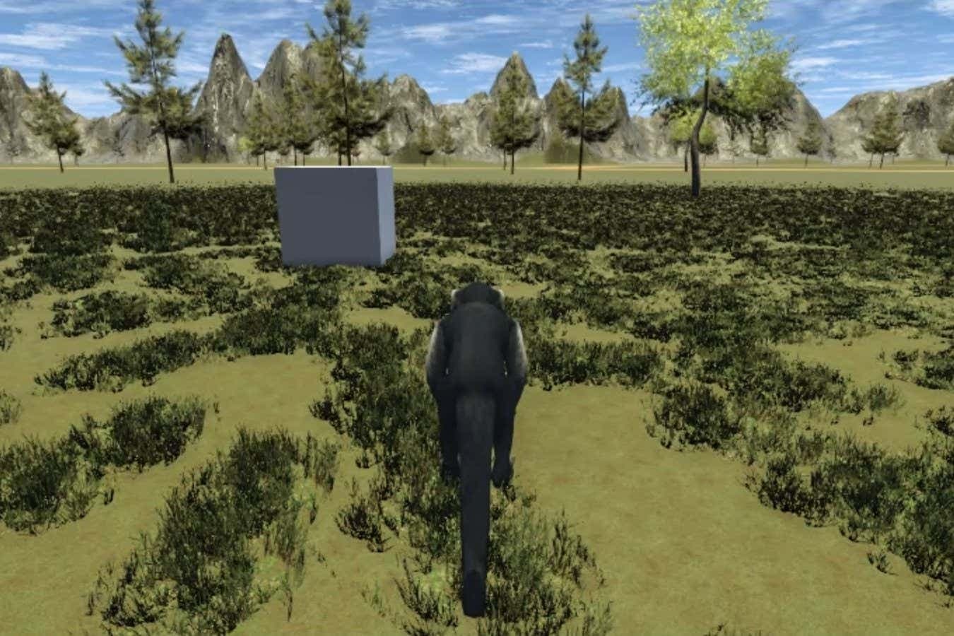 Monkeys walk around a virtual world using only their thoughts