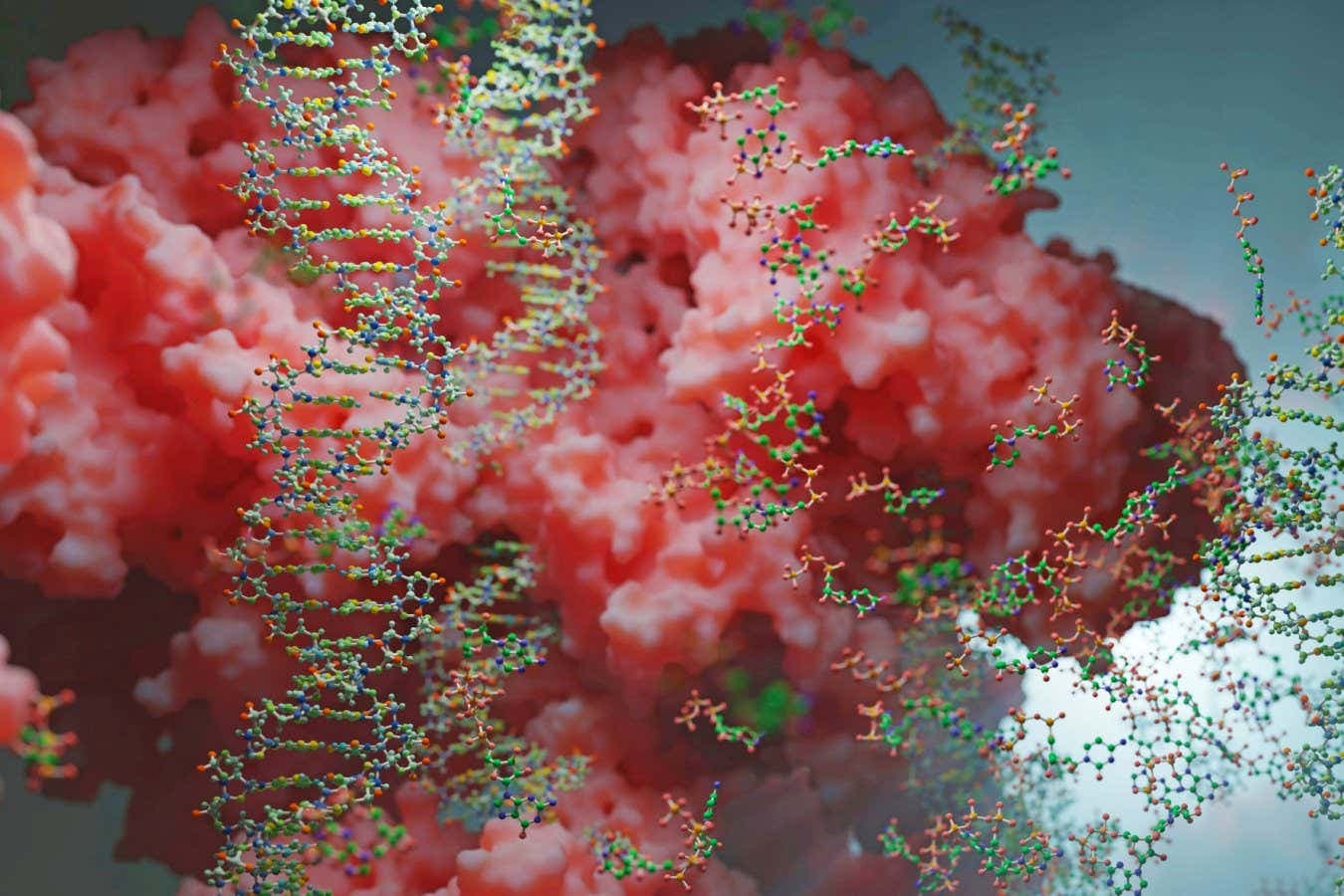 Doubts cast over 'wild' claim that magnetic control can turn on genes