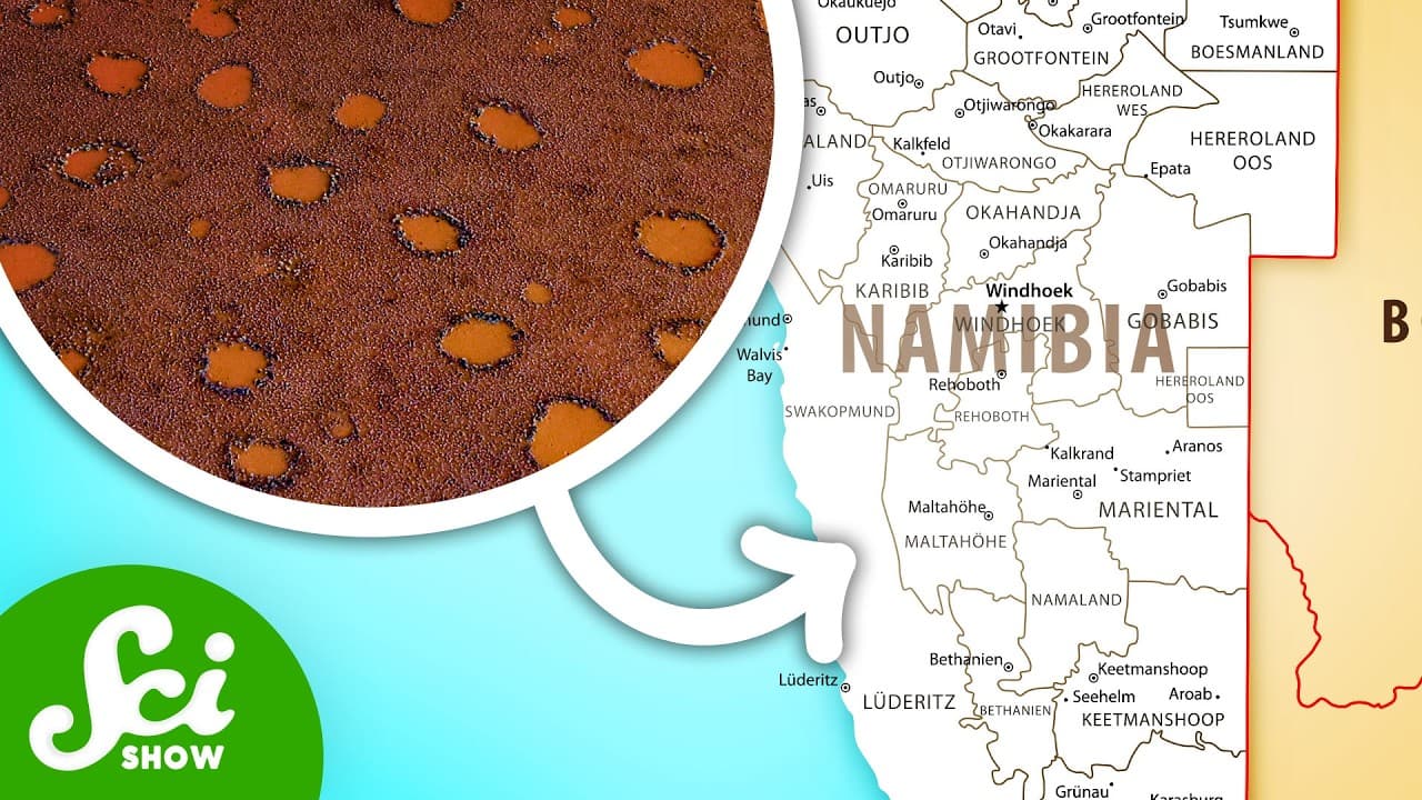 50 Years Later & Scientists Still Don't Know Why These Exist