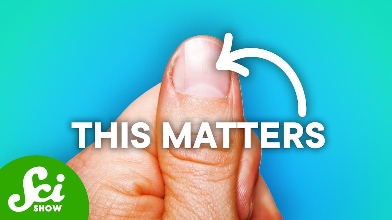 The Importance of Thumbnails