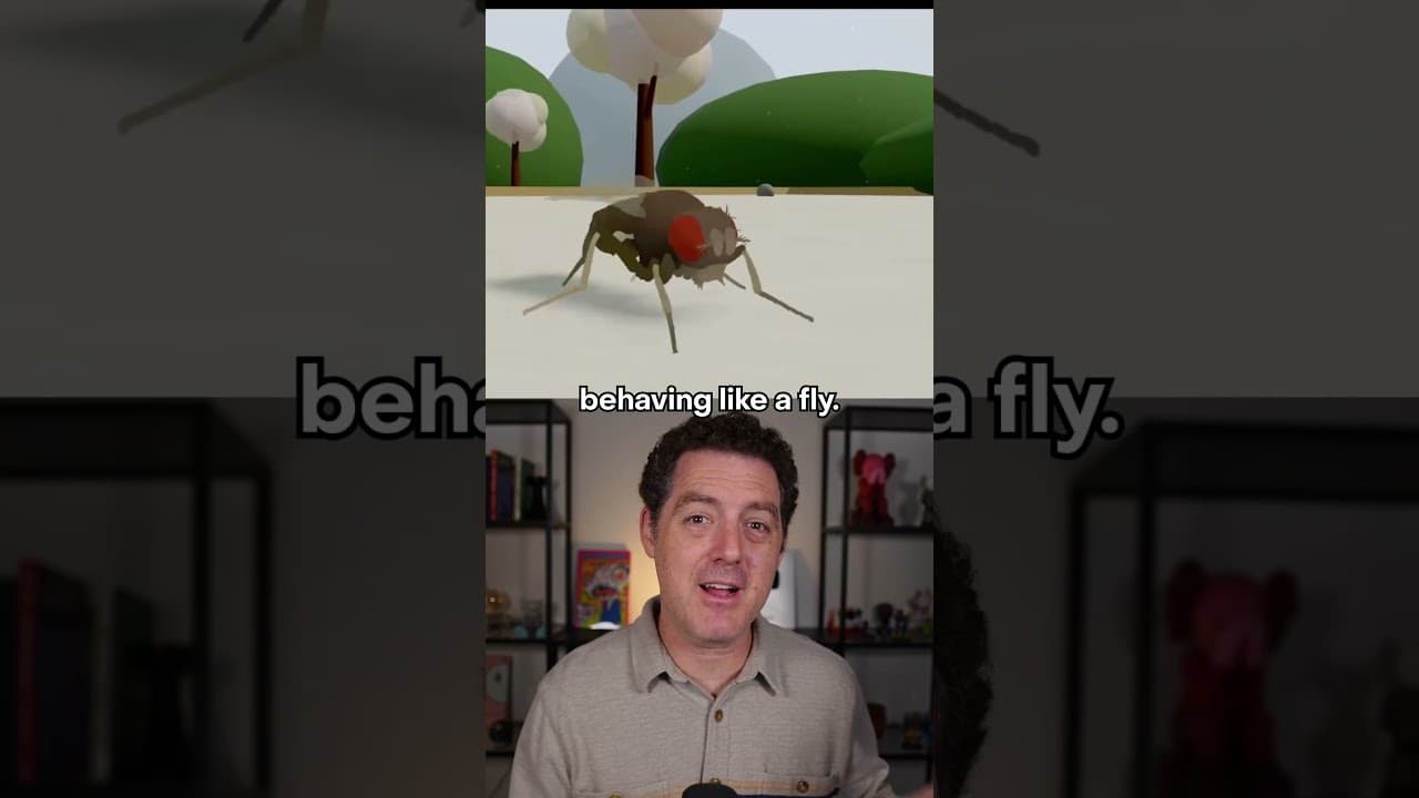 a REAL fruit fly in a virtual world