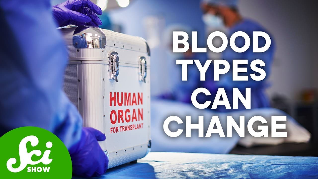 Organs Have Blood Types and It's a Problem