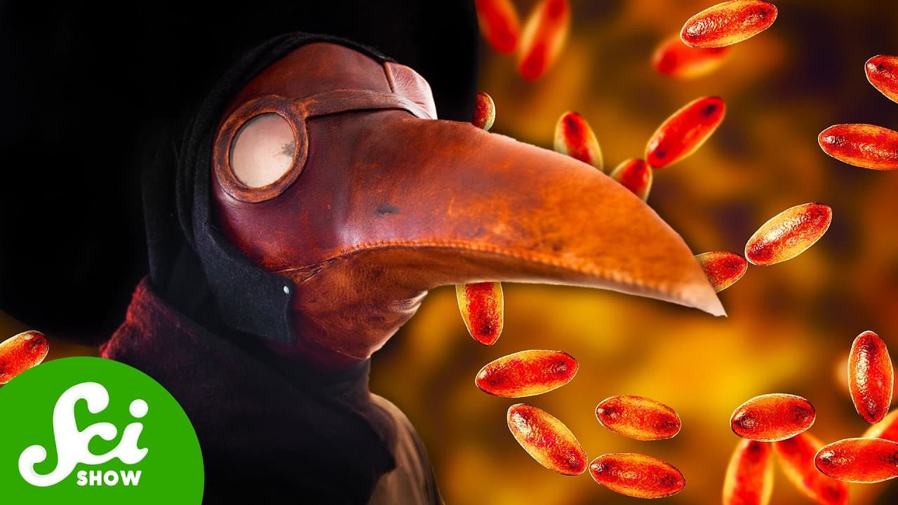 7 Deadly Epidemics You Didn’t Know Existed