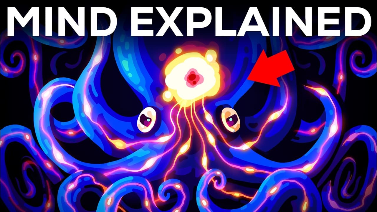 Let’s Dissect Your Brain