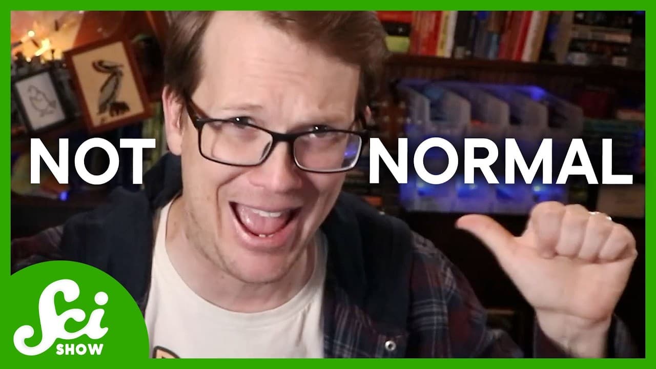 This Video Will Be Deleted in 12 Hours