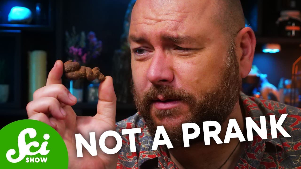 We're Sending Our Audience Poop. You're Welcome.