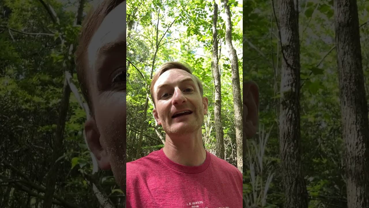 The A-10 Warthog is sticking around until 2030 now...