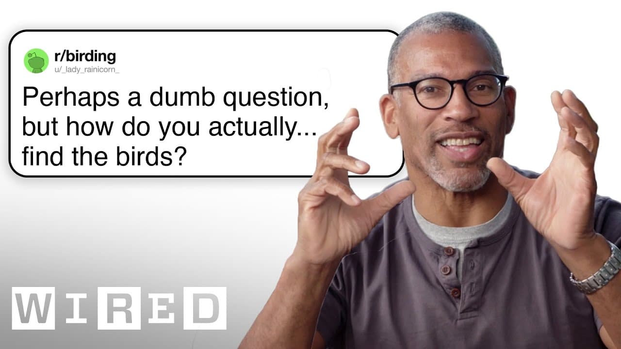 Professional Birder Answers Birding Questions | Tech Support | WIRED