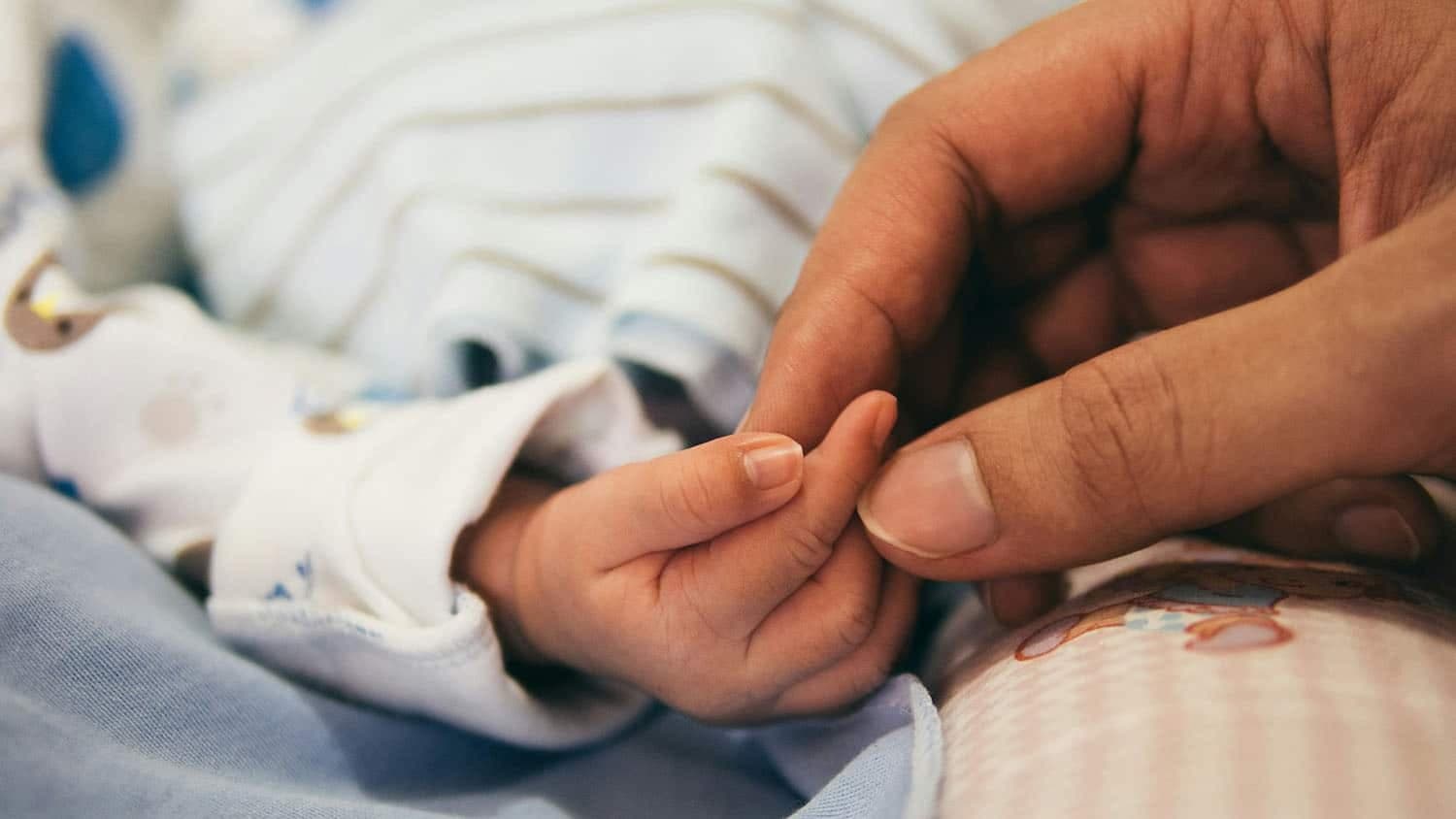 Photograph shows an infant's hand being held gently between the thumb and forefinger of an adult's hand (via news.ncsu.edu)
