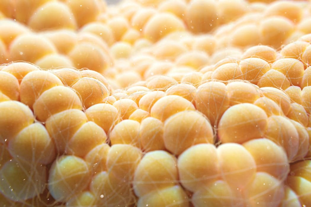 Fat cells burn energy to make heat – making them the next frontier of weight loss therapies (via yahoo.com)