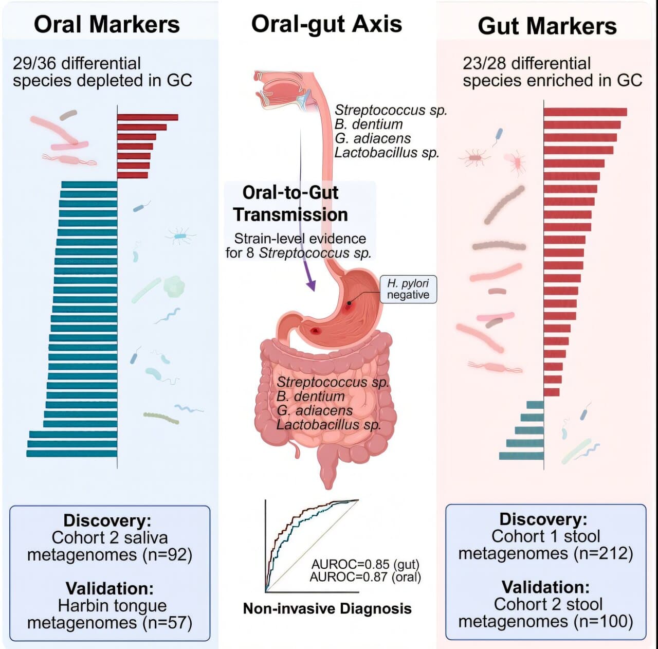 Oral-gut axis points to salivary biomarkers for early gastric cancer detection