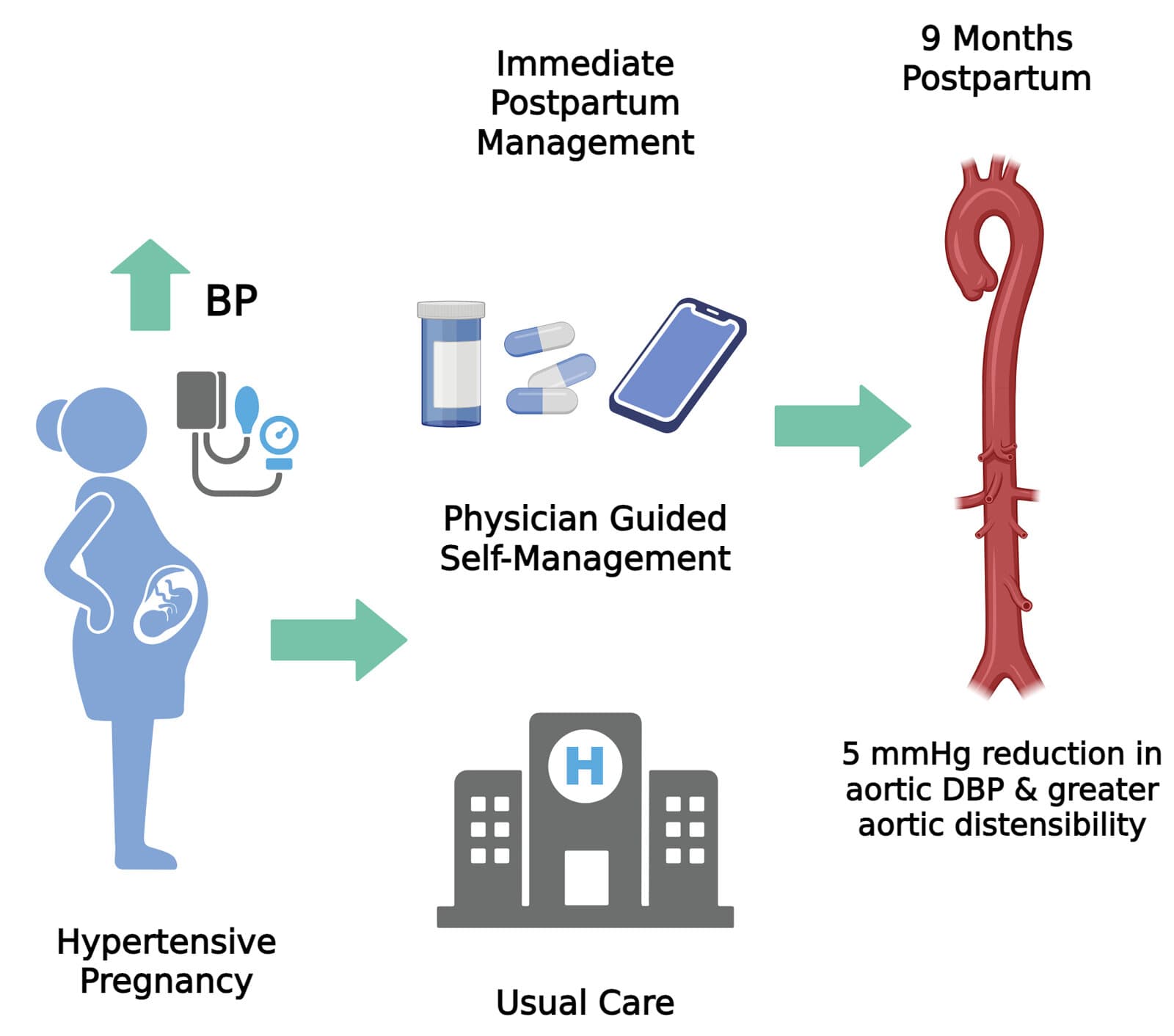 Daily blood pressure checks following birth could protect women after common pregnancy issue