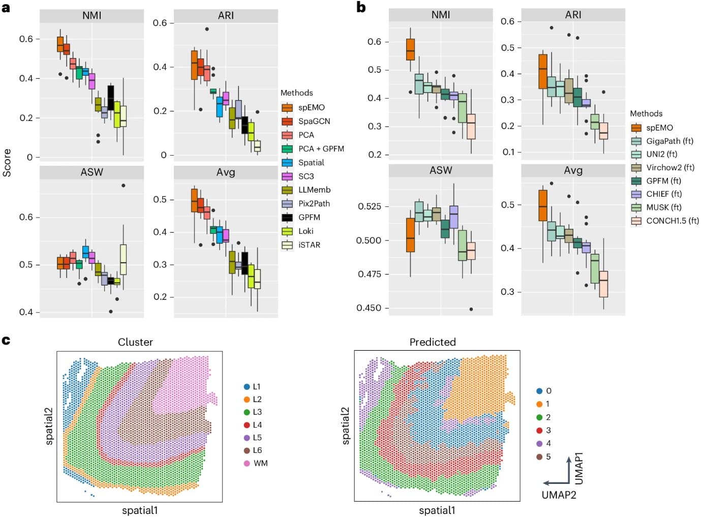 AI Tool Reveals How Cells Interact in Diseased Tissue