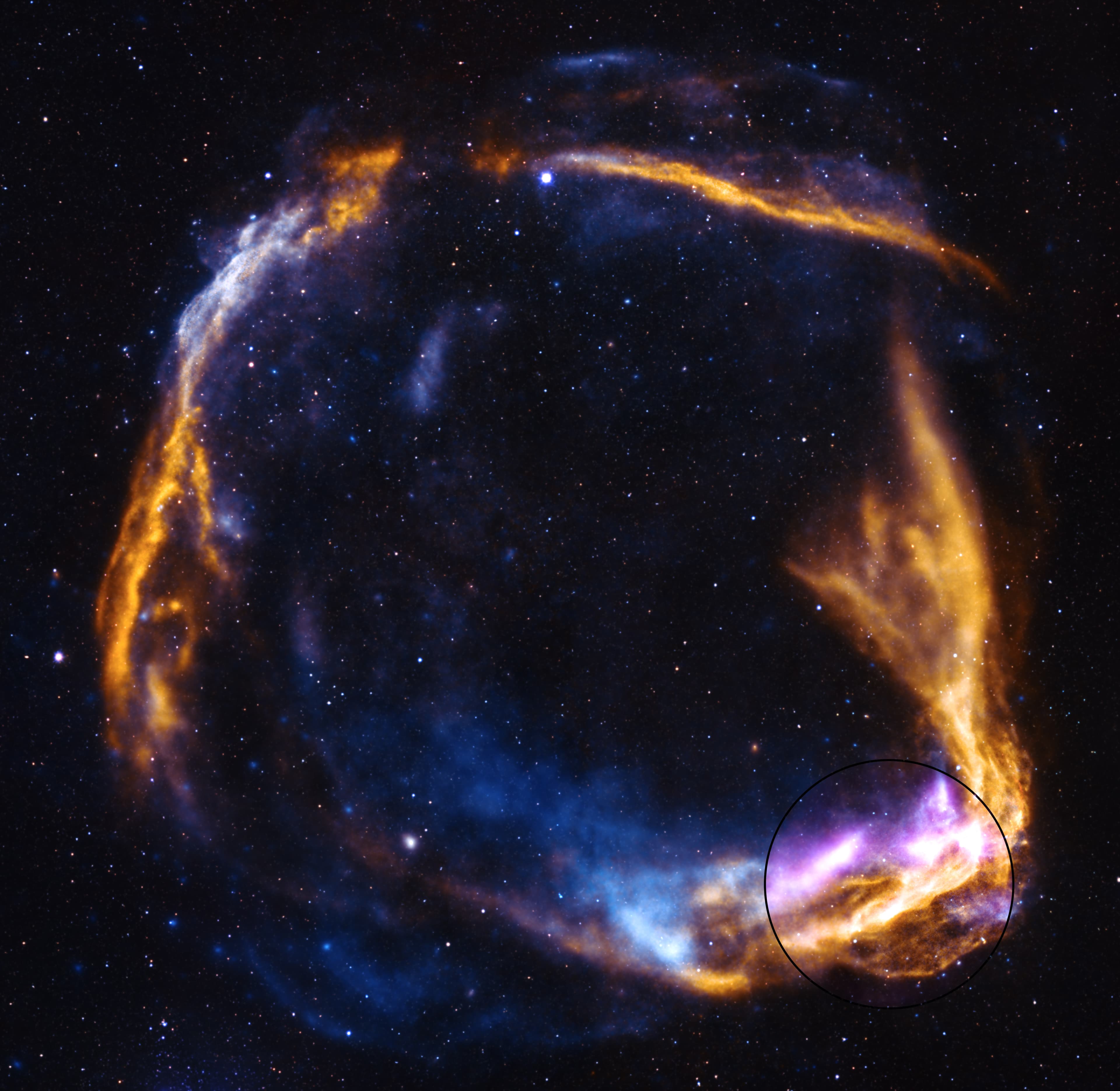 NASA’s IXPE observed the outer rim of the supernova remnant highlighted in purple in the inset. Data from IXPE is combined with data from NASA’s Chandra X-ray Observatory and ESA’s XMM-Newton. The yellow represents low-energy X-rays, while blue shows high-energy X-rays detected by Chandra and XMM-Newton. The starfield in the image comes from the National Science Foundation’s National Optical-Infrared Astronomy Research Laboratory (NOILab).