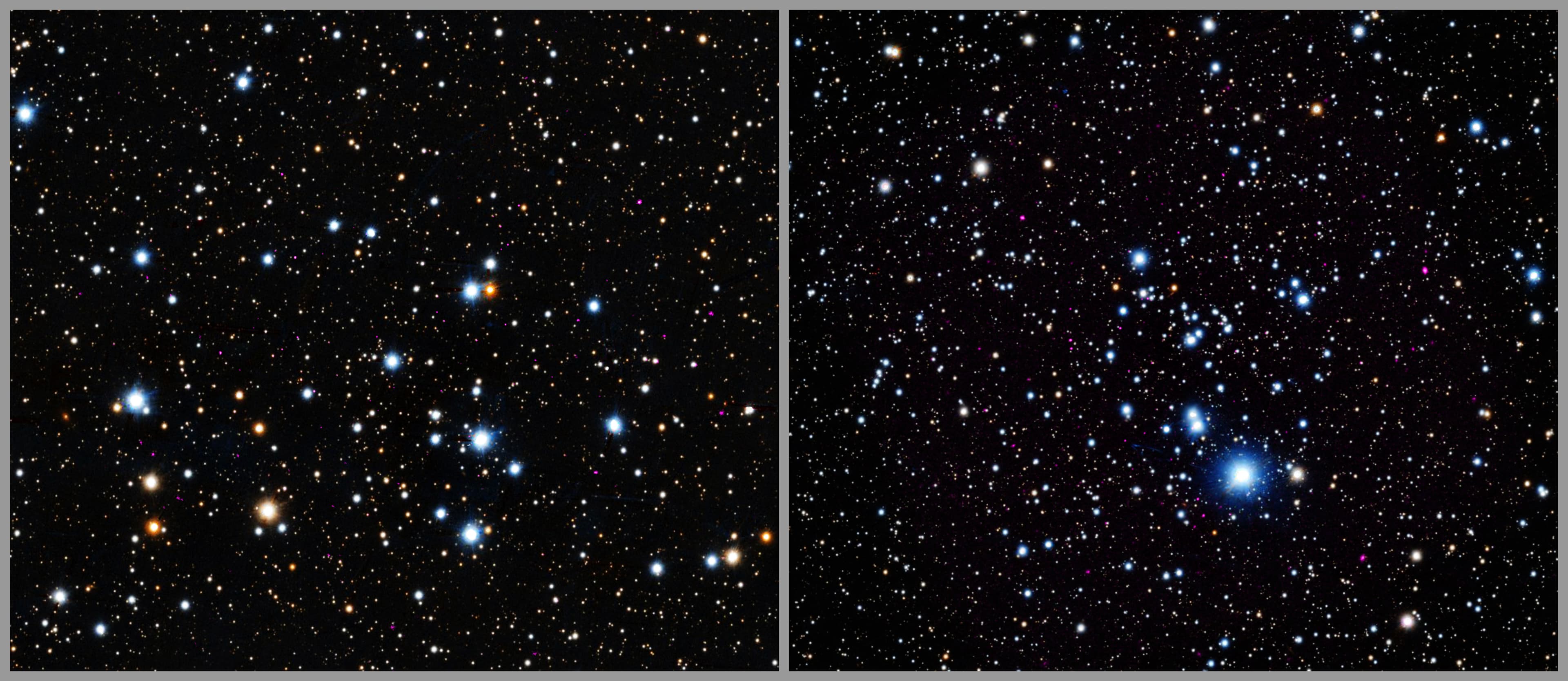 The images of Trumpler 3 and NGC 2353 are open clusters that contains hundreds of young stars that are gravitationally bound together because they formed from the same gas cloud. In this composite image of the clusters, X-rays from Chandra (purple) have been combined with an optical image from the PanSTARRS telescope in Hawaii (red, green, and blue). The stars look like fuzzy dots of different sizes dotting the darkness of space.