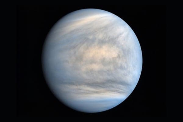 Photographed in ultraviolet light and rendered in false color, this view reveals the complexities of the clouds that coat Venus. Credit: JAXA/ISIS/DARTS/Damia Bouic