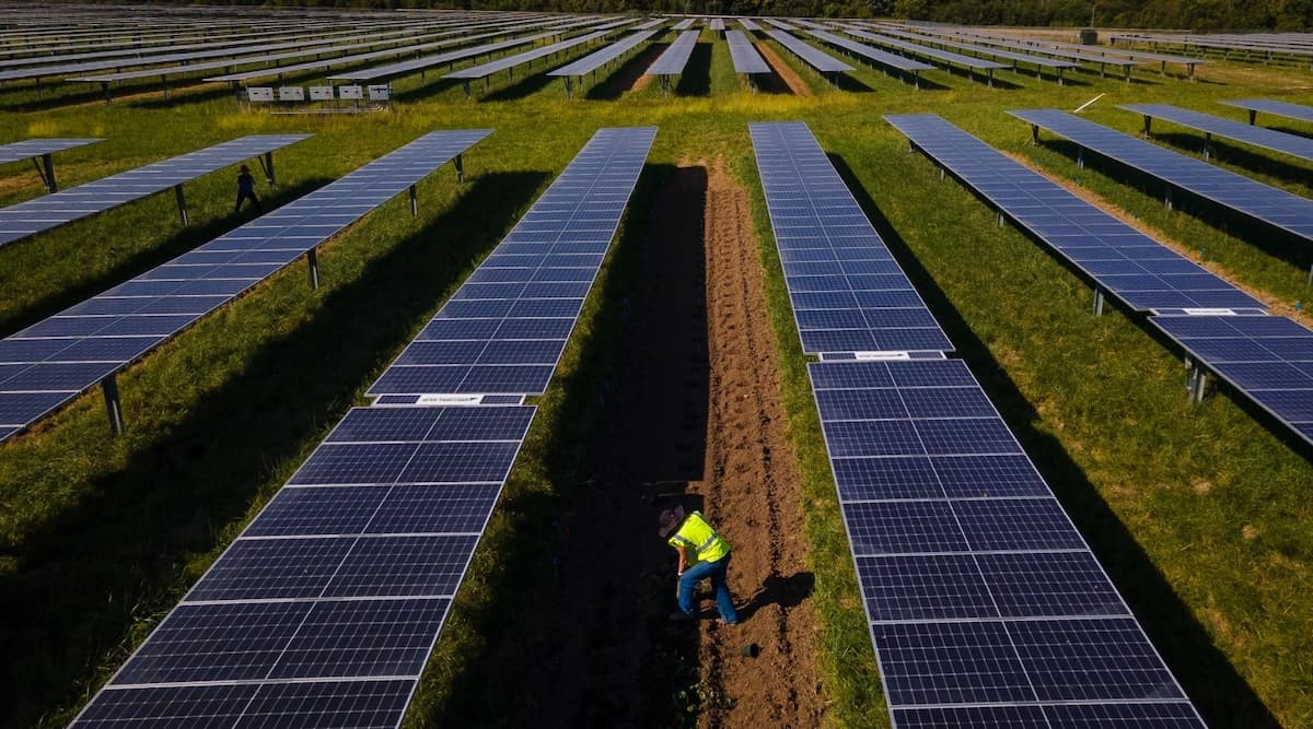 Agrivoltaics Can Save Farmers From Wind Damage, Too