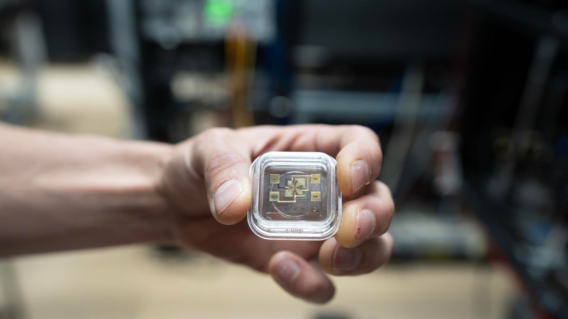 US scientists show time can go quantum in ion clock experiments