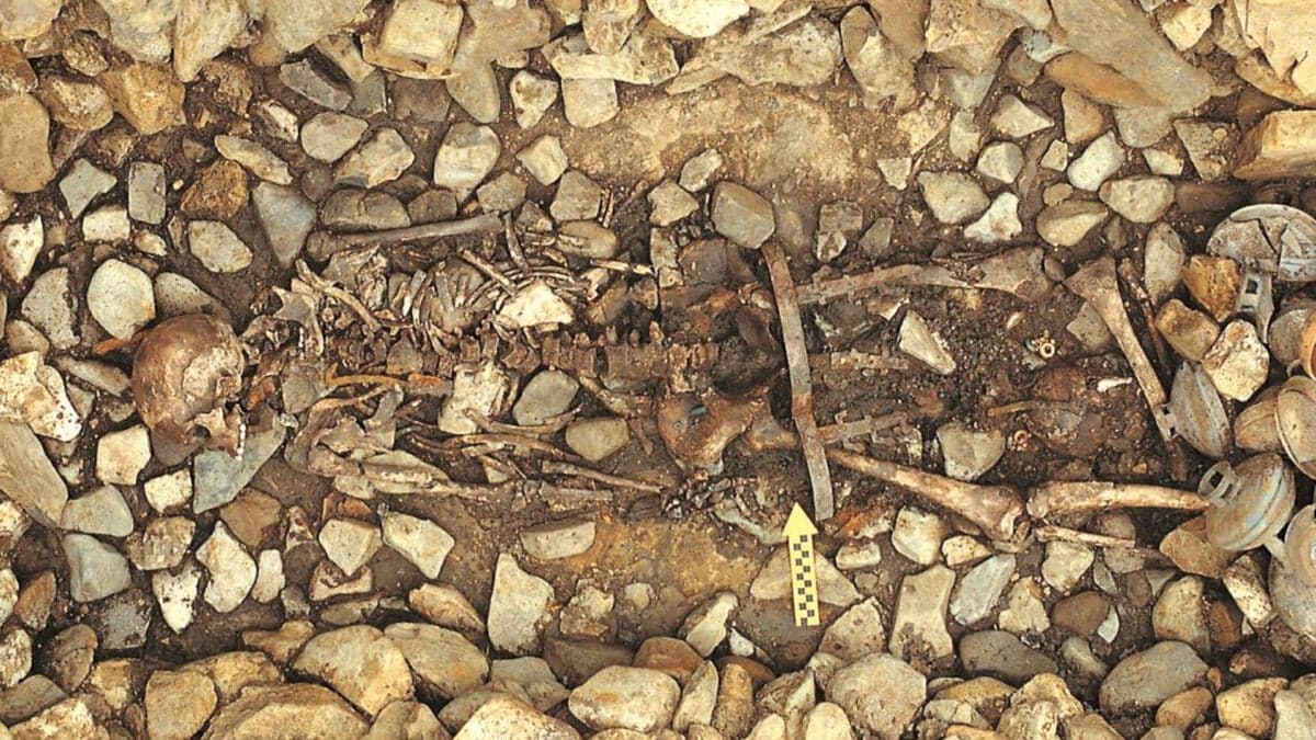 DNA From 1,500-Year-Old Korean Mass Grave Exposes a Brutal Ancient Ritual