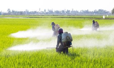 New study links pesticide exposure to cancer risk (via healthcare-in-europe.com)