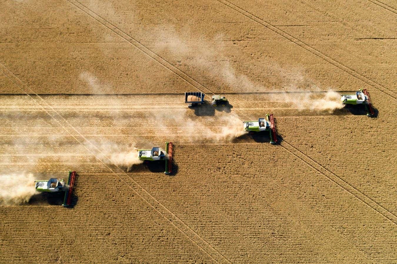 Dust rising from combine during crop harvesting, no-till technology professional occupation.