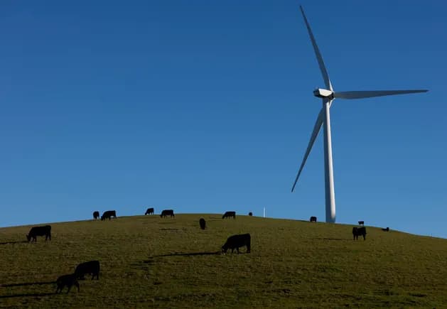 Solar and wind PPA prices up 9% in 2025, set to continue rising with energy demand