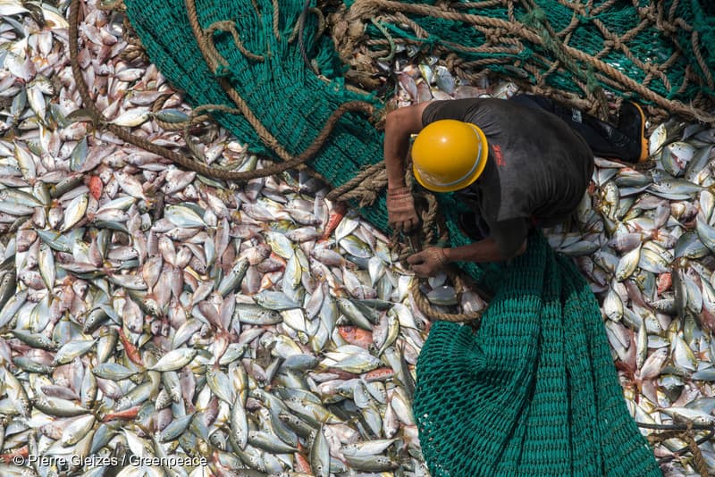 Migrant fishers’ deaths at sea tied to unchecked captain power, study shows (via news.mongabay.com)