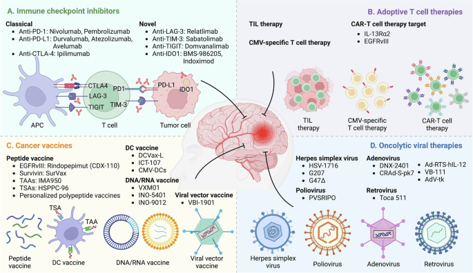 Immunotherapy for glioblastoma: current state, challenges, and future perspectives - Cellular & Molecular Immunology (via nature.com)