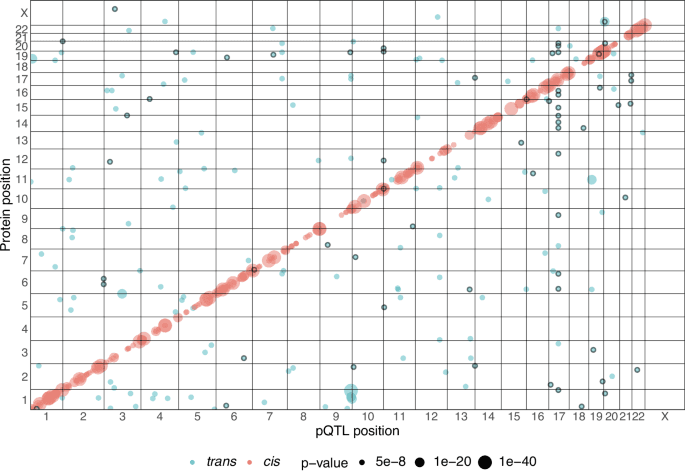 Genetics of circulating proteins in newborn babies at high risk of type 1 diabetes - Nature Communications (via nature.com)