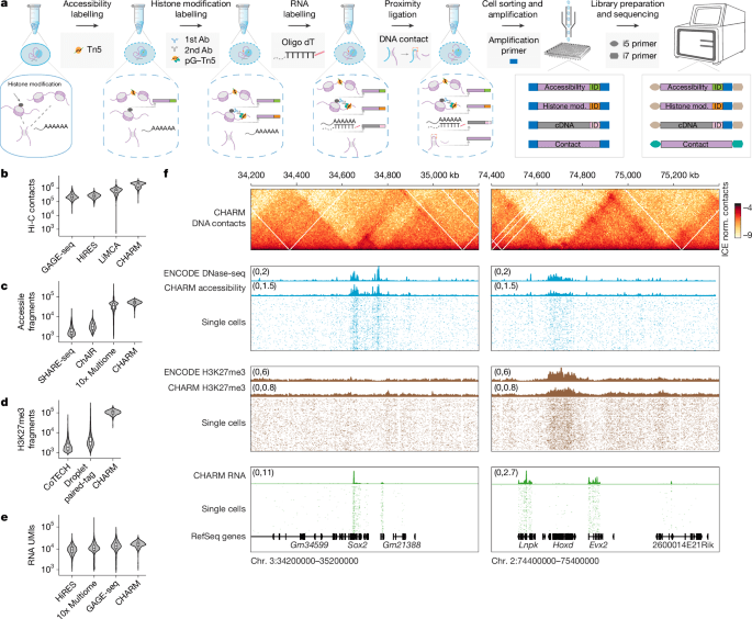 Gene regulatory landscape dissected by single-cell four-omics sequencing - Nature (via nature.com)