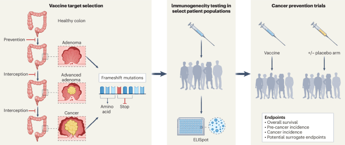 Preventive vaccines for hereditary cancer syndromes - Nature Medicine