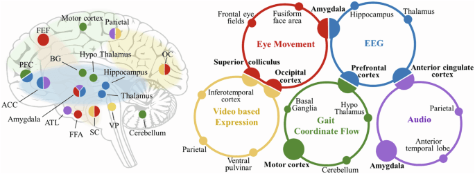AI-assisted multi-modal information for the screening of depression: a systematic review and meta-analysis - npj Digital Medicine (via nature.com)