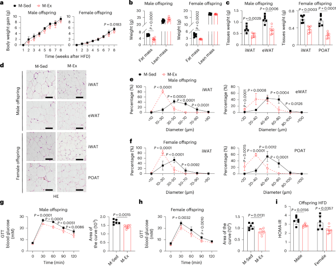 Maternal exercise prevents metabolic disorders in offspring mice through SERPINA3C - Nature Metabolism (via nature.com)