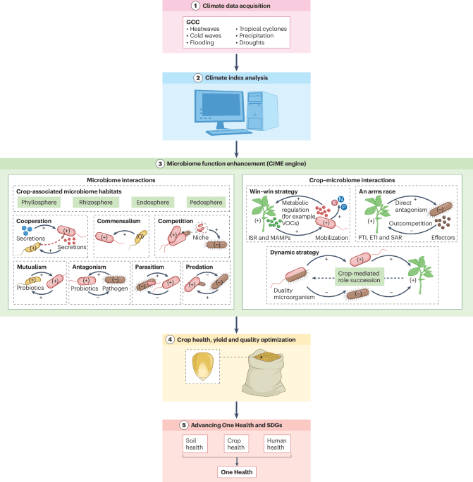 Microbiome-driven innovations for climate-resilient crop production - Nature Food (via nature.com)