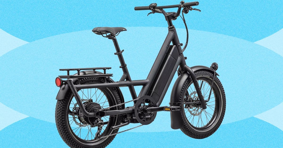 I Put My Dog, Friends, and Family Inside Bike Boxes and Rear Racks to Test All the Best Electric Cargo Bikes