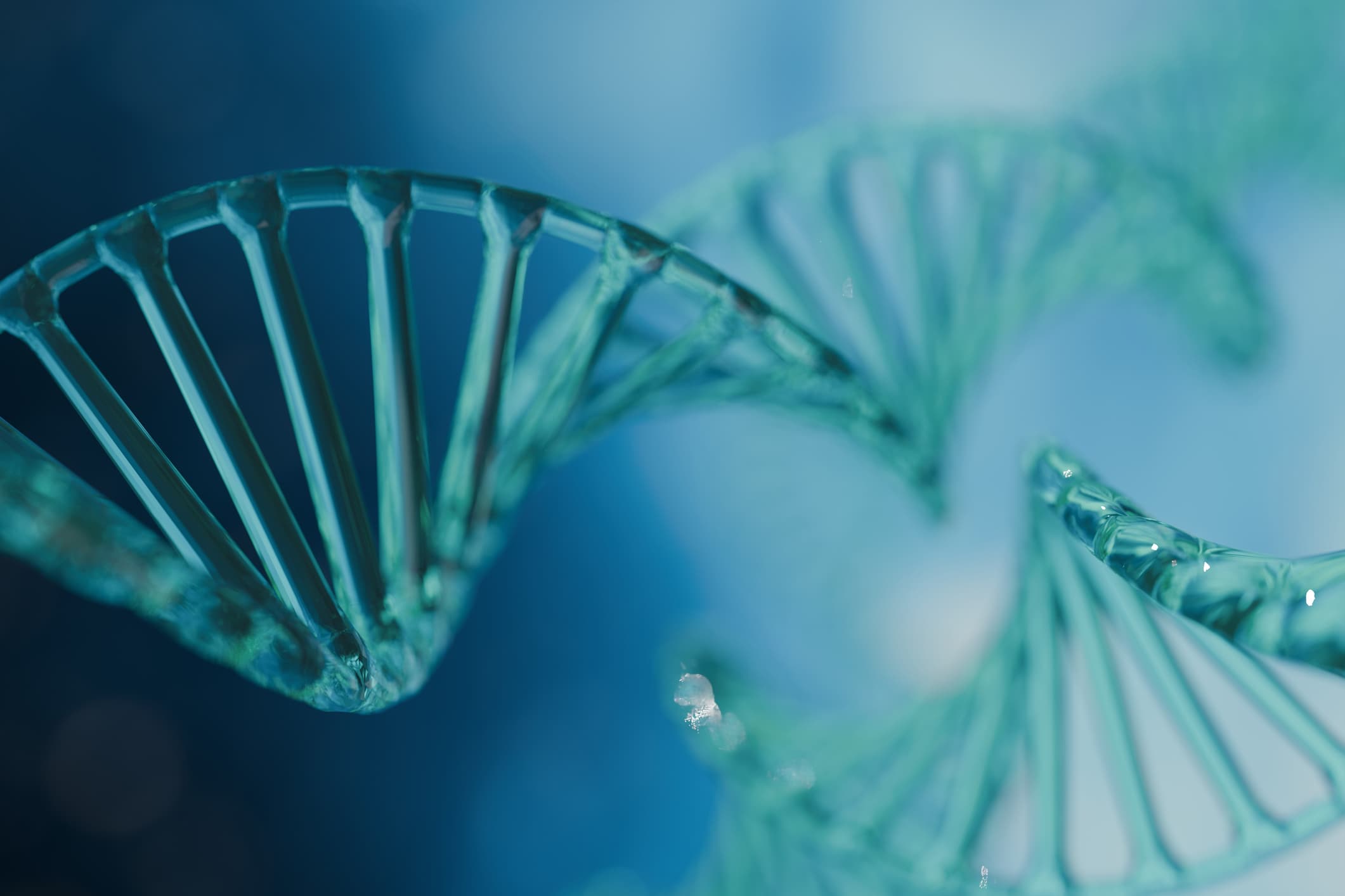 Targeting Novel Long Non-Coding RNA May Improve Glioblastoma Treatment (via news.feinberg.northwestern.edu)