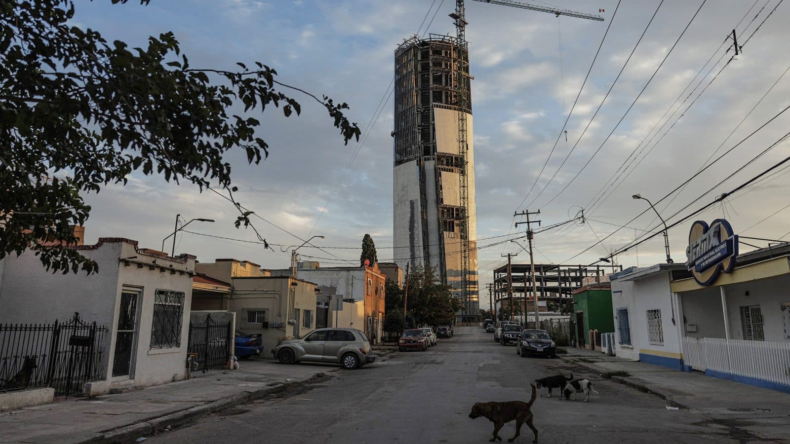 A construction site for a tall building stands in the distance, with dogs and parked cars along a quiet street.