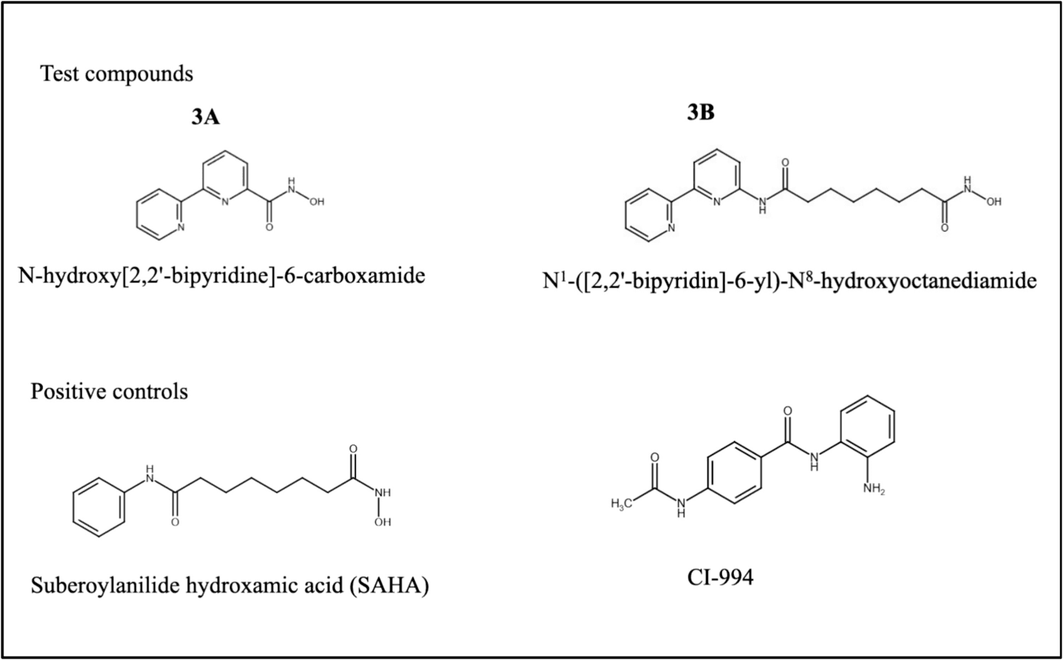 Targeting neuroblastoma with hydroxamic acid based HDAC1 and HDAC2 inhibitors: Insights from in vitro and in vivo studies - Investigational New Drugs (via link.springer.com)