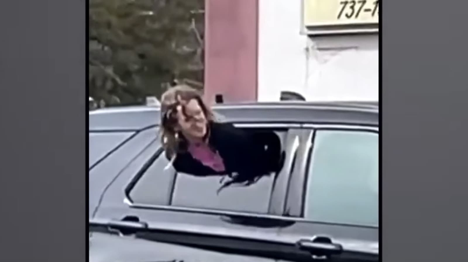 Woman Gets Out Of Tight Spot By Squeezing Through Half-Open Cop Car Window - Jalopnik