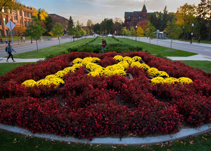 Researchers Investigate New Biosensors to Monitor Glucose Levels in Patients with Diabetes (via pharmacy.umn.edu)