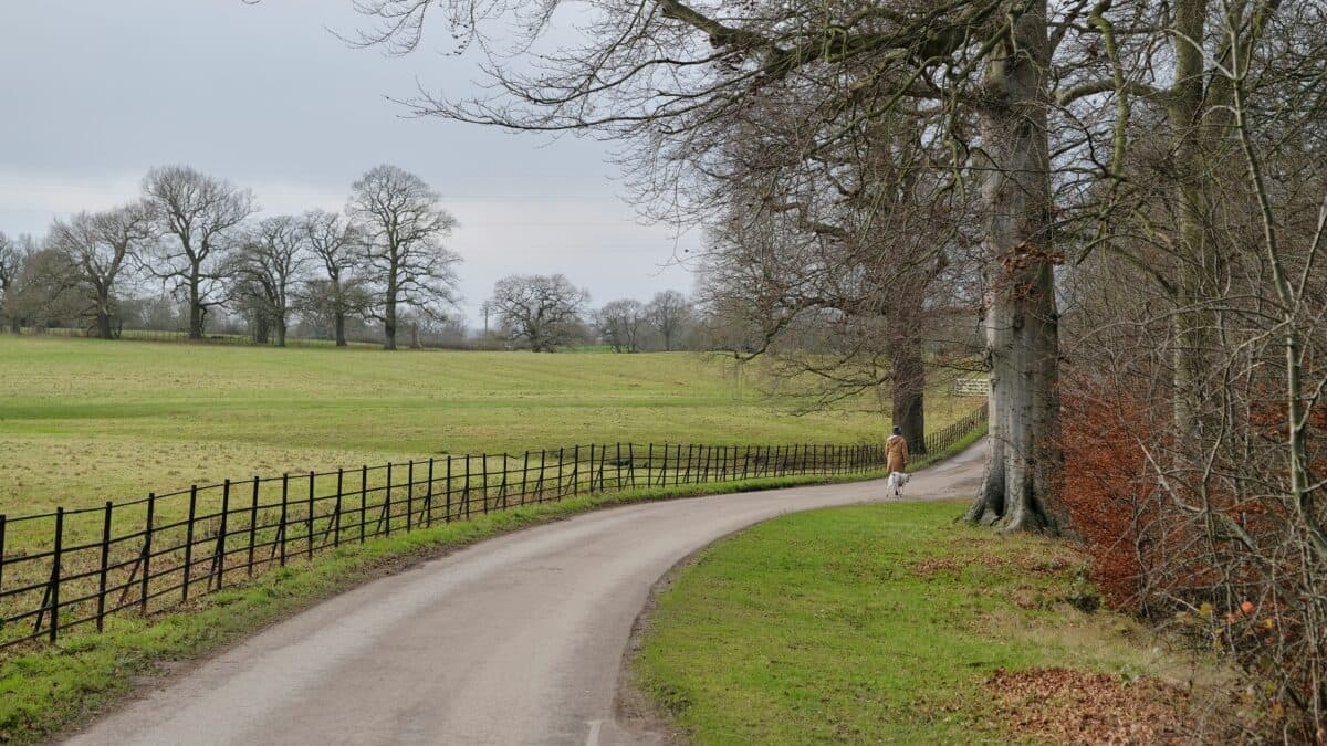 RWE drops 99.9 MW solar project in Wales on grid constraints