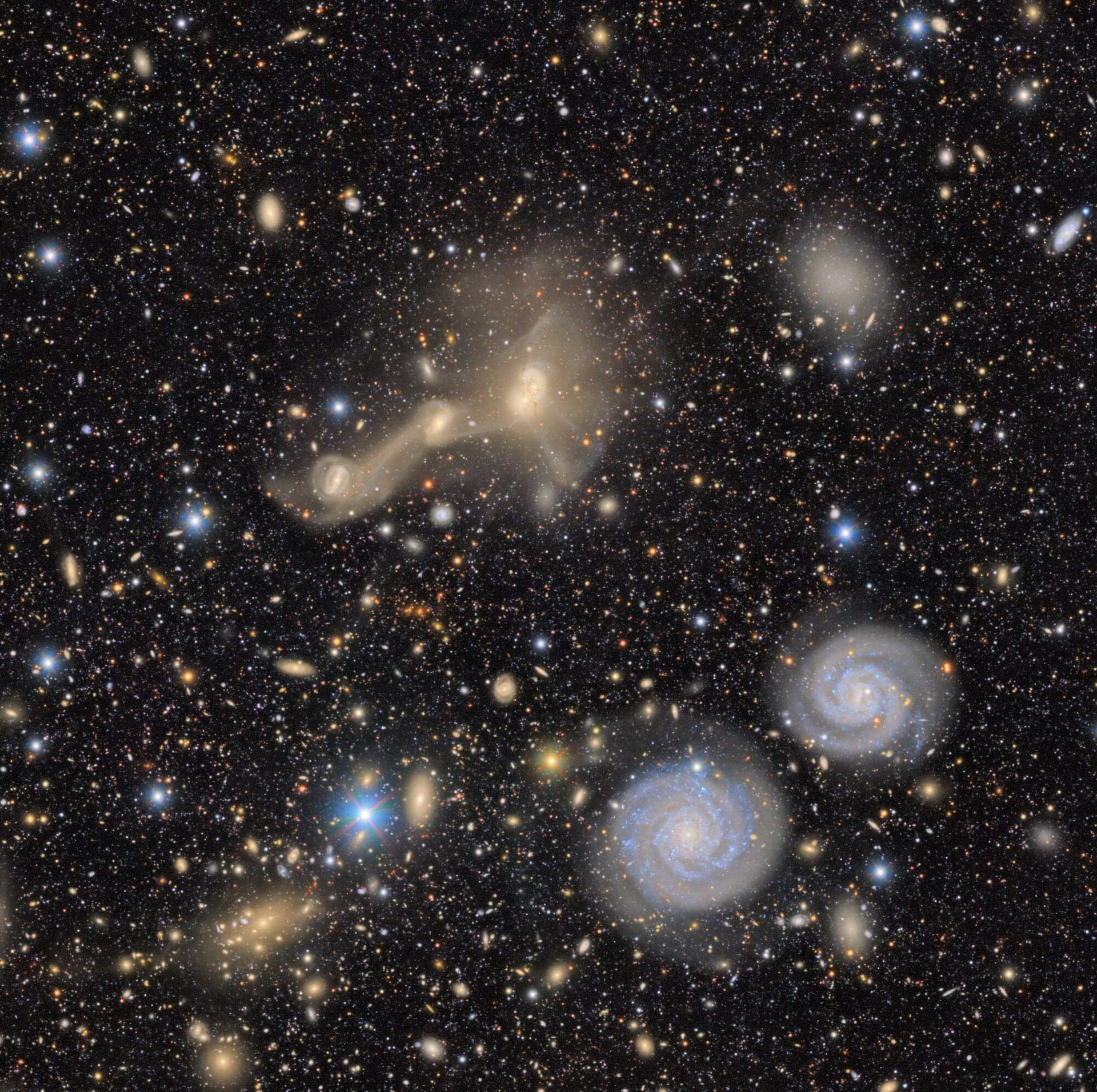 A Vera Rubin Observatory view of a portion of the Virgo Cluster. Galaxies are crammed together so close that that their gravitational pull tears them apart,as we see in the two galaxies near the center of the image. That leaves behind some galaxies without as many stars as they started with, but with "overmassive" black holes. Image credit: RubinObs/NOIRLab/SLAC/NSF/DOE/AURA